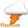 Firefox Flashgot Plugin